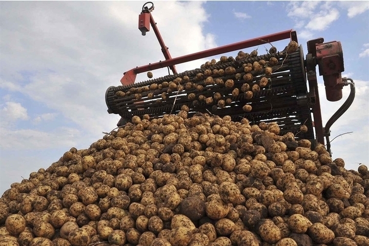 В Лихославльском округе подвели итоги уборочной кампании