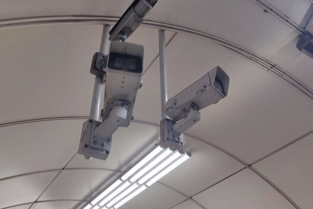 Петербург стал лучшим в контрольно-надзорной деятельности по стране