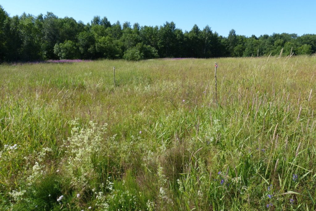 Неудачливый фермер из Карелии превратил свой участок в охотничью зону