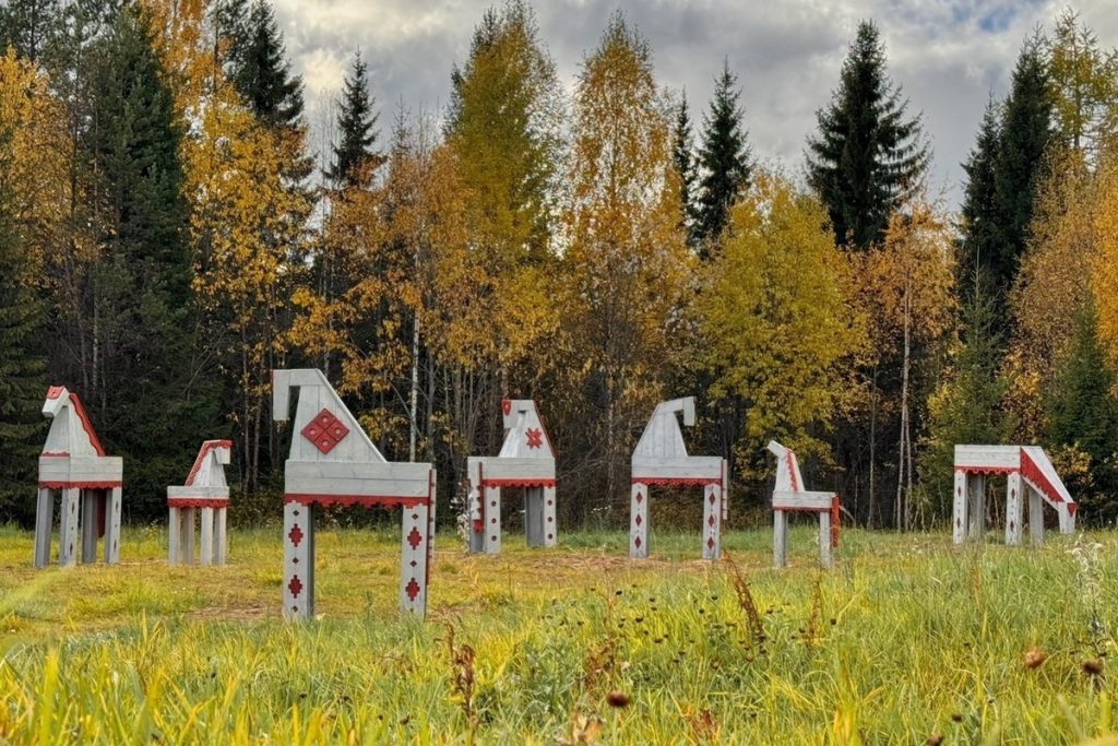 В Пинеге зарождается необычный проект