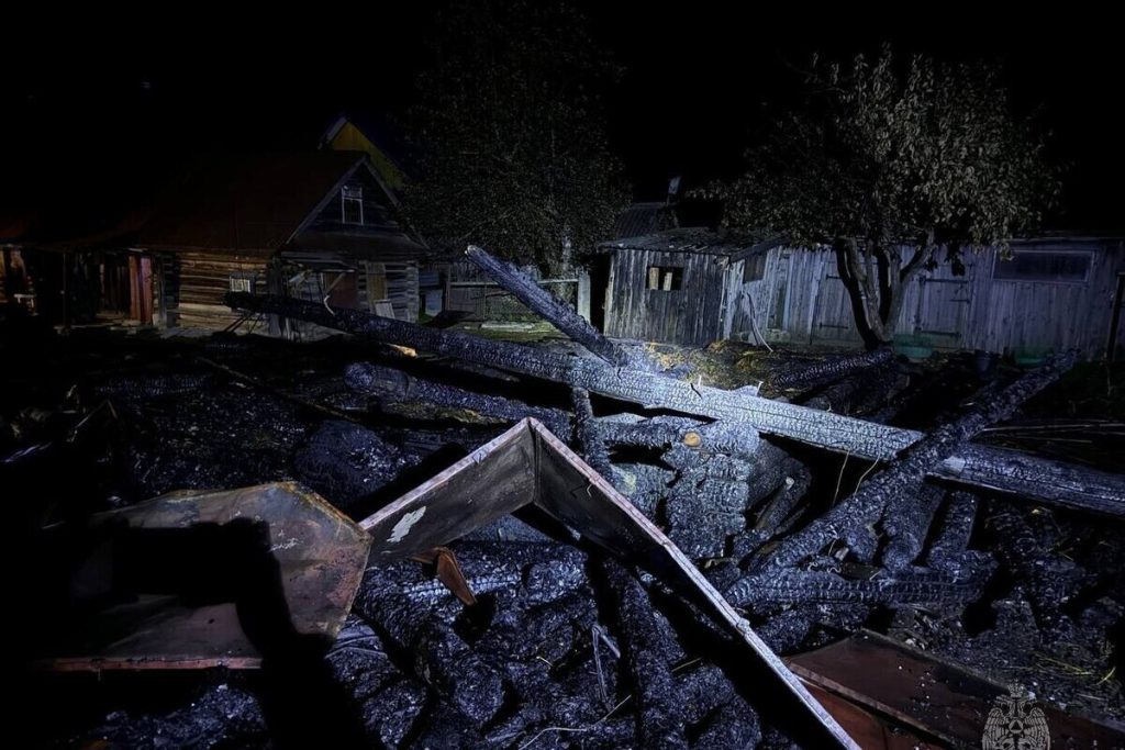 В деревне Куженерского района сгорел хлев с курами