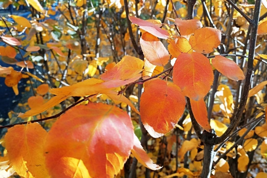 Tempesta magnetica del 23 ottobre: piccole perturbazioni geomagnetiche previste, cosa significa per noi

Approfondimento
Le perturbazioni geomagnetiche sono fenomeni naturali che possono influenzare il campo magnetico terrestre, causate da varie fonti come le tempeste solari o le variazioni del vento solare.

Possibili Conseguenze
Le perturbazioni geomagnetiche possono avere diverse conseguenze, come ad esempio interferenze con le comunicazioni radio, problemi con la navigazione satellitare e possibili impatti sulla salute umana.

Opinione
Non ci sono opinioni specifiche su questo argomento, poiché si tratta di un fenomeno naturale che può essere previsto e monitorato.

Analisi Critica dei Fatti
I fatti relativi alle perturbazioni geomagnetiche sono basati su osservazioni scientifiche e possono essere verificati attraverso dati e ricerche.

Relazioni con altri fatti
Le perturbazioni geomagnetiche possono essere correlate ad altri fenomeni naturali, come ad esempio le tempeste solari o le variazioni del clima.

Contesto storico
Le perturbazioni geomagnetiche sono state studiate e monitorate per molti anni, e ci sono diverse ricerche e dati disponibili su questo argomento.

Fonti
La fonte di questo articolo è Fonte RSS, un sito di notizie che fornisce informazioni aggiornate su vari argomenti, compresi i fenomeni naturali.