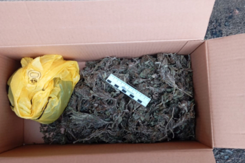 Scoperta di sostanze stupefacenti a Livny: 132,5 grammi di narcotici trovati nel garage di un residente