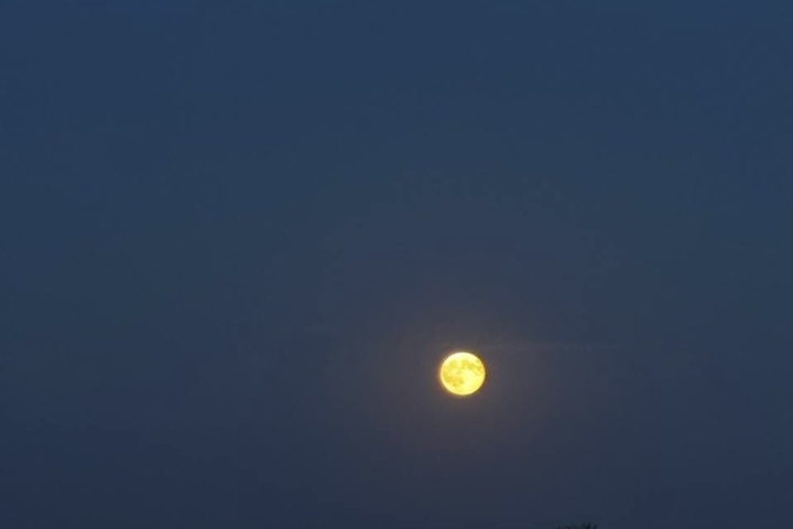 Ночью 12 октября в небе над акваторией Азовского моря сбили два беспилотника