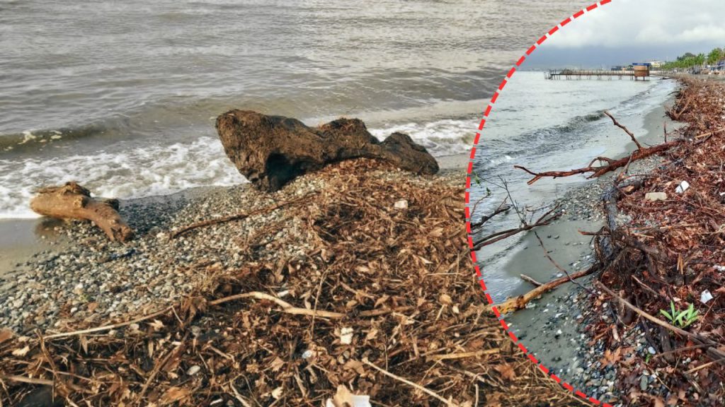 Fırtına sonrası tanınamaz hale geldi! Sahil boyunca örtü gibi kapladı