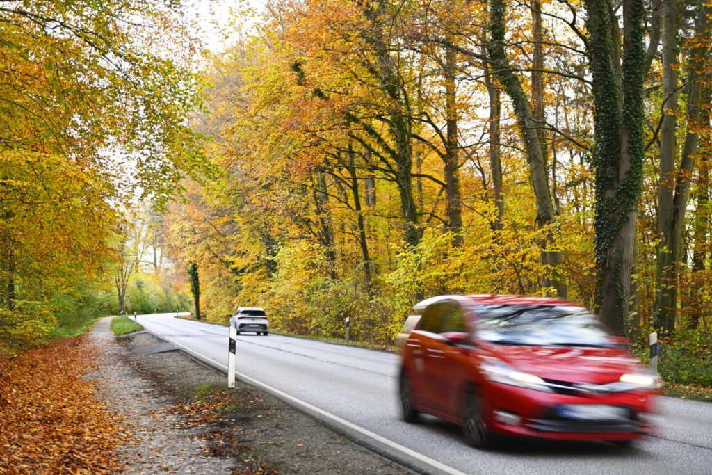 Preparare la tua auto all&#039;arrivo dell&#039;autunno: consigli e precauzioni per una guida sicura