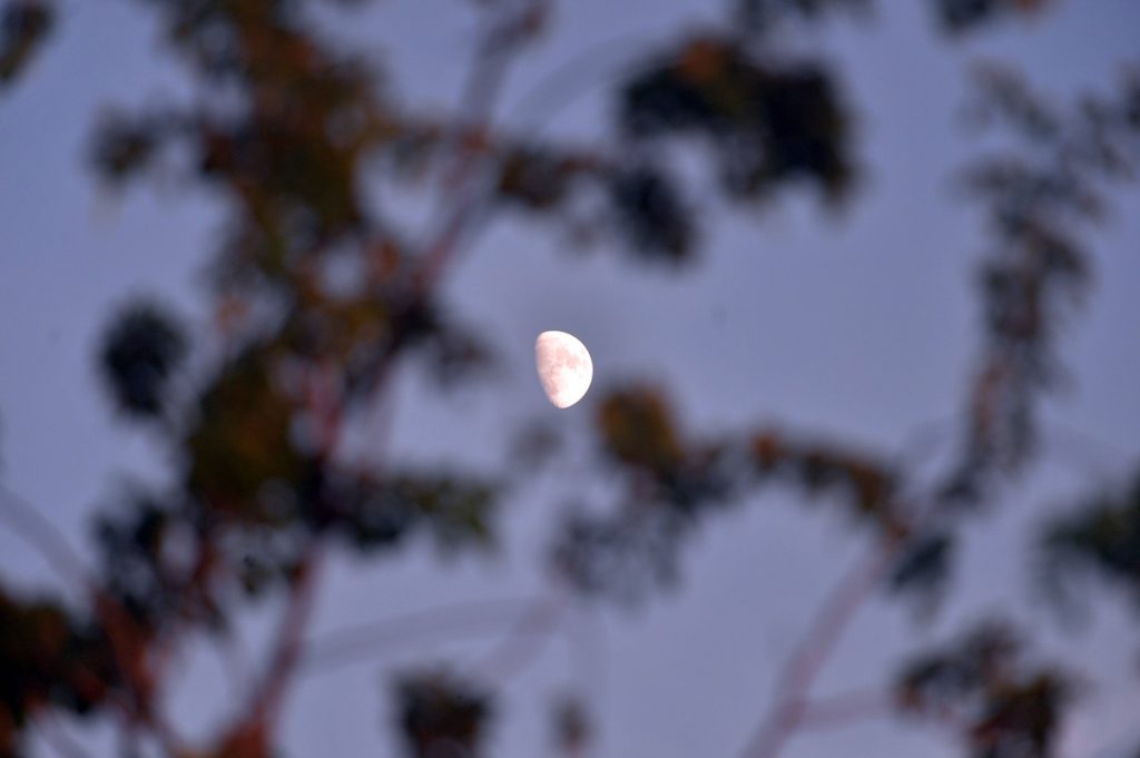 Halbmond im Krebs! Für drei Sternzeichen steht der Wendepunkt bevor