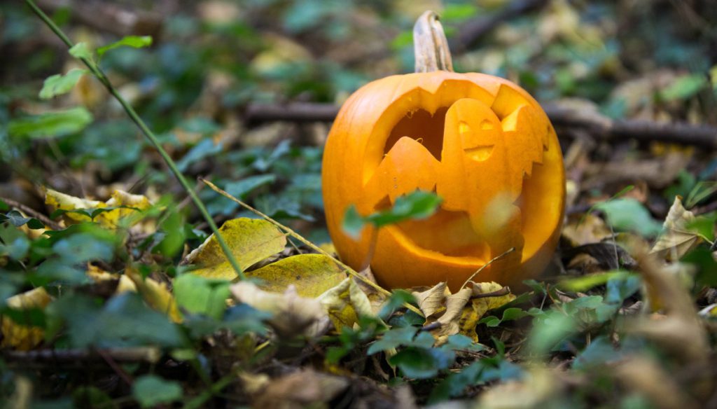 La Verità Nascosta Sta per Emergere: Cosa Aspettarsi prima di Halloween
