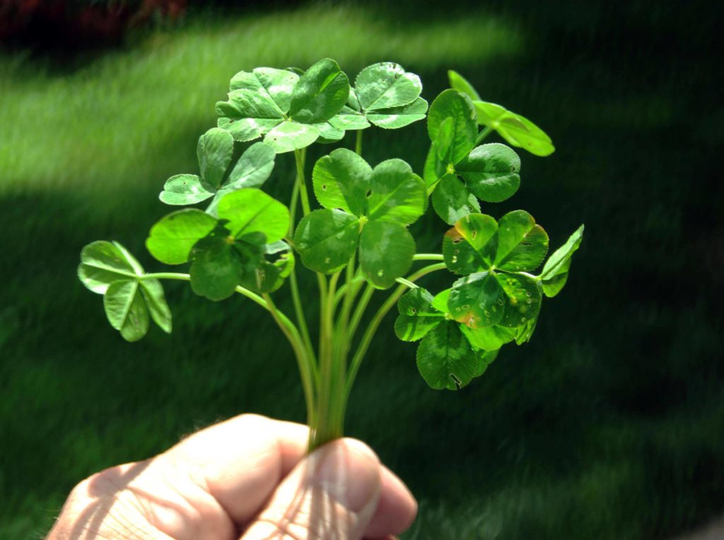 Egal ob Job oder Liebe: Drei Sternzeichen stehen vor Glücks-Wochenende