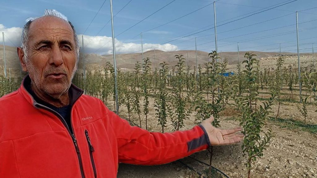 İlçede yetişen elma hayatına yön verdi: Harçlıkla başladı, şimdi 100 dönüm arazisi var