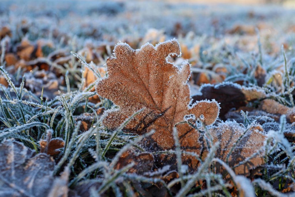 Bibber-Alarm in NRW? Eisige Wochenend-Prognose – „Temperaturen im freien Fall“