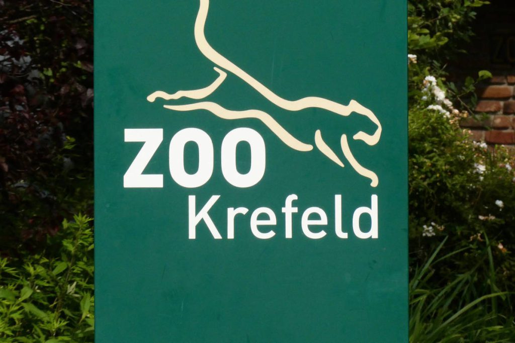Morte allo zoo di Krefeld: la comunità zoologica in lutto