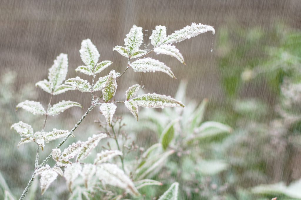 Allarme Meteo per il Fine Settimana in Renania Settentrionale-Vestfalia: Previsioni di Condizioni Climatiche Avverse e Misure di Sicurezza per gli Abitanti