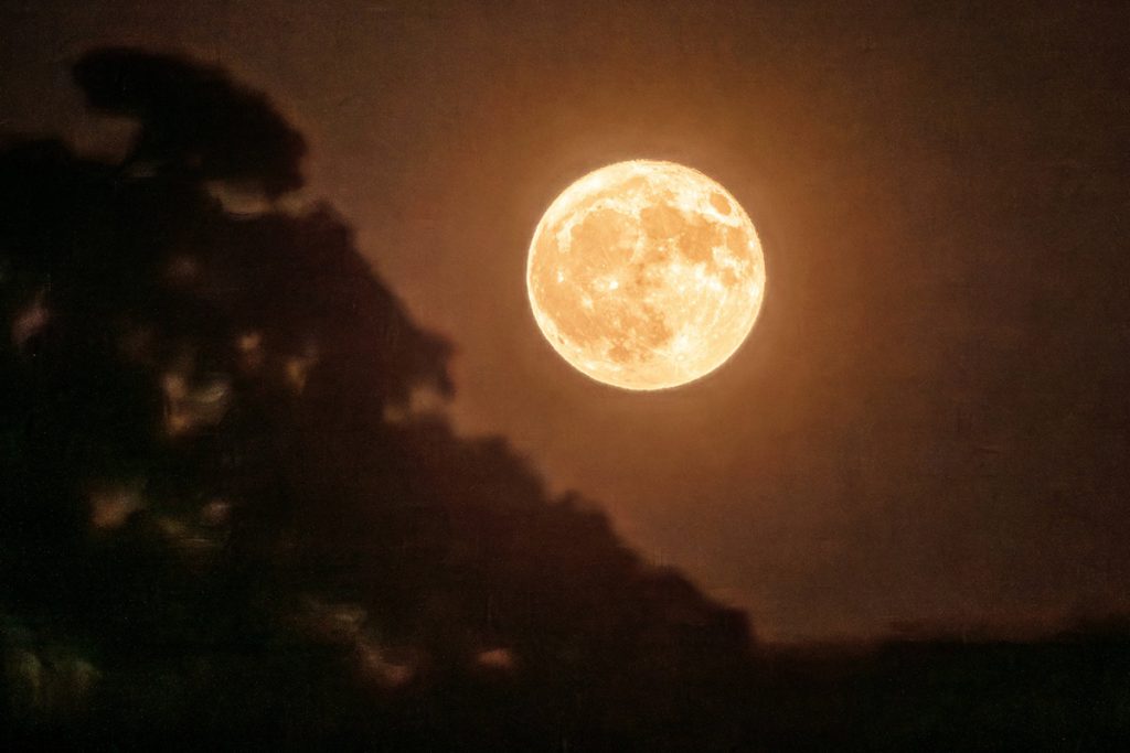 Tre segni zodiacali di fronte a novembre difficile: sfide e opportunità per crescere e superare le difficoltà