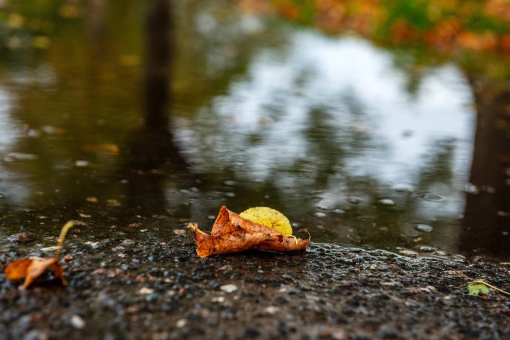 Previsioni del tempo in Renania Settentrionale-Vestfalia: una svolta imminente dopo la pioggia e il freddo