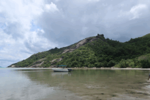 L&#039;Oceano in Pericolo: È Giunto il Momento di Agire per Salvare il Futuro del Pianeta