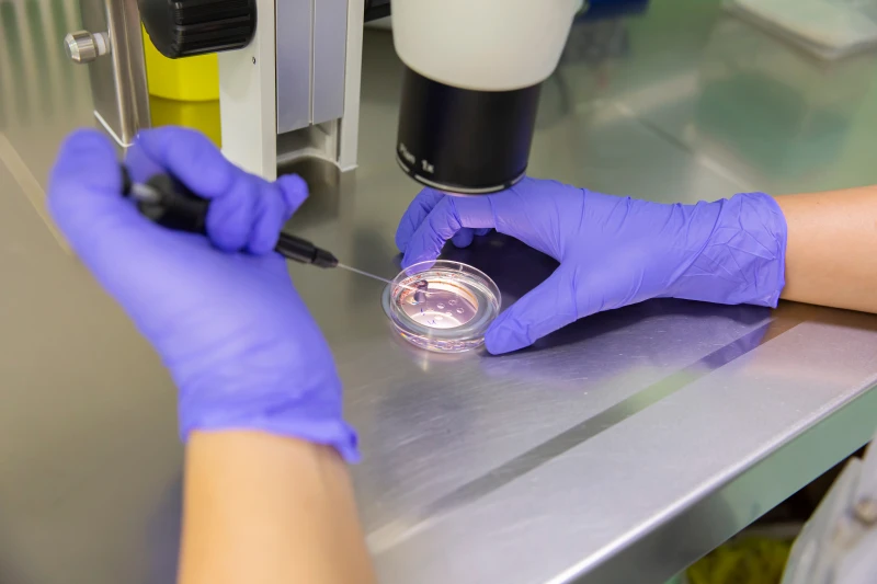 Trump Estende La Copertura Assicurativa Per La Fecondazione In Vitro E Trattamenti Di Fertilita Negli Stati Uniti