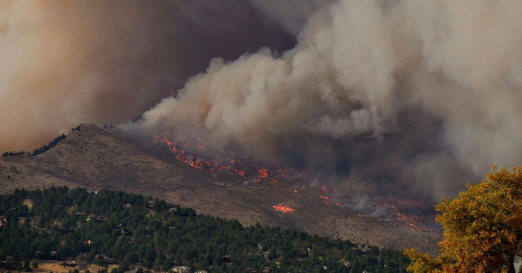 Incendi boschivi in Italia: aumento allarmante delle aree bruciate nel 2025