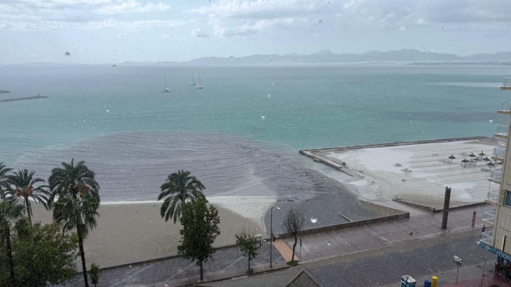 Ekel-Alarm an der Playa! Mallorca-Urlauber bekommen Folgen zu spüren