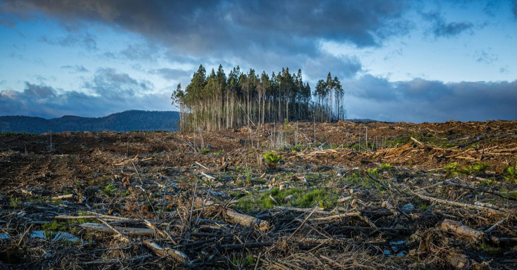 Cambiamento climatico in Italia: un aumento allarmante dei decessi e delle sfide per il futuro