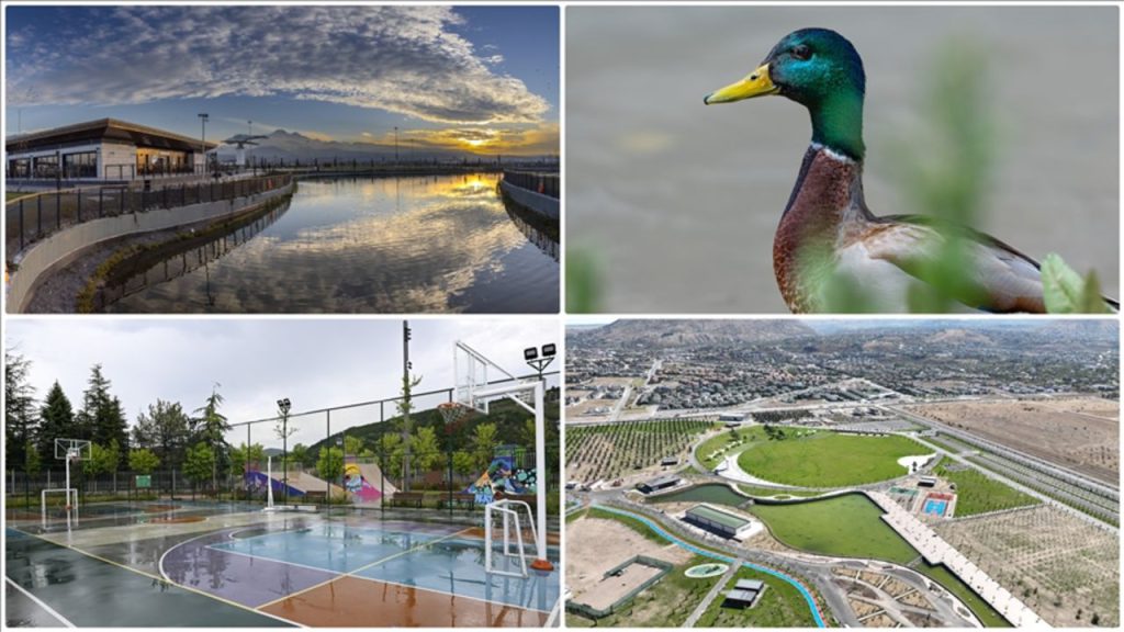 Giardini Pubblici in Affitto: il Ministero dell&#039;Ambiente Interviene per Migliorare la Manutenzione