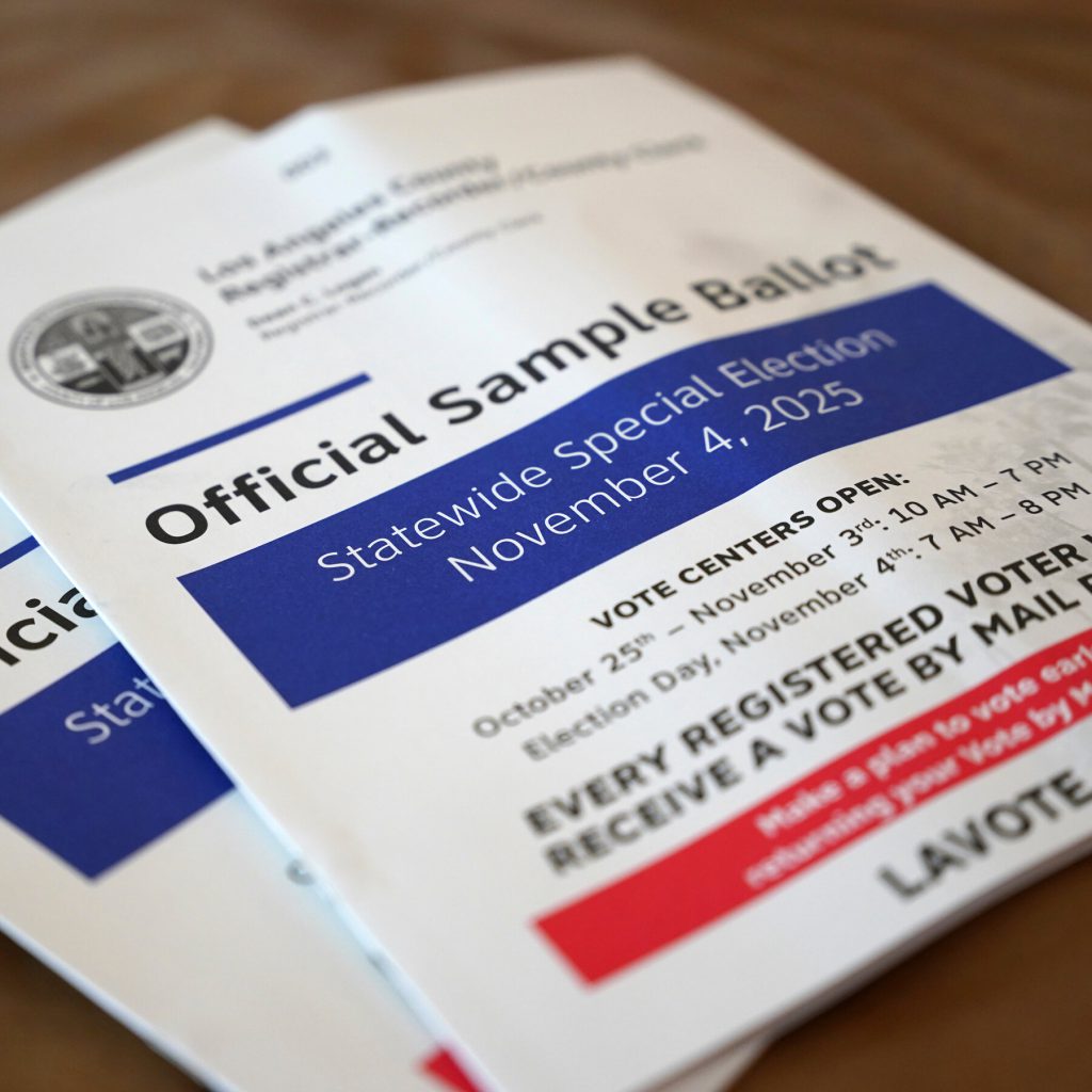 Your November Election Guide (Yes, This November)