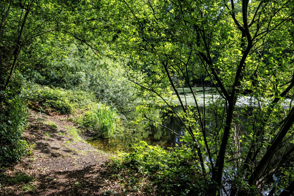Scoperta sensazionale in un fiume della Renania Settentrionale-Vestfalia: un animale esotico fa tappa inaspettata