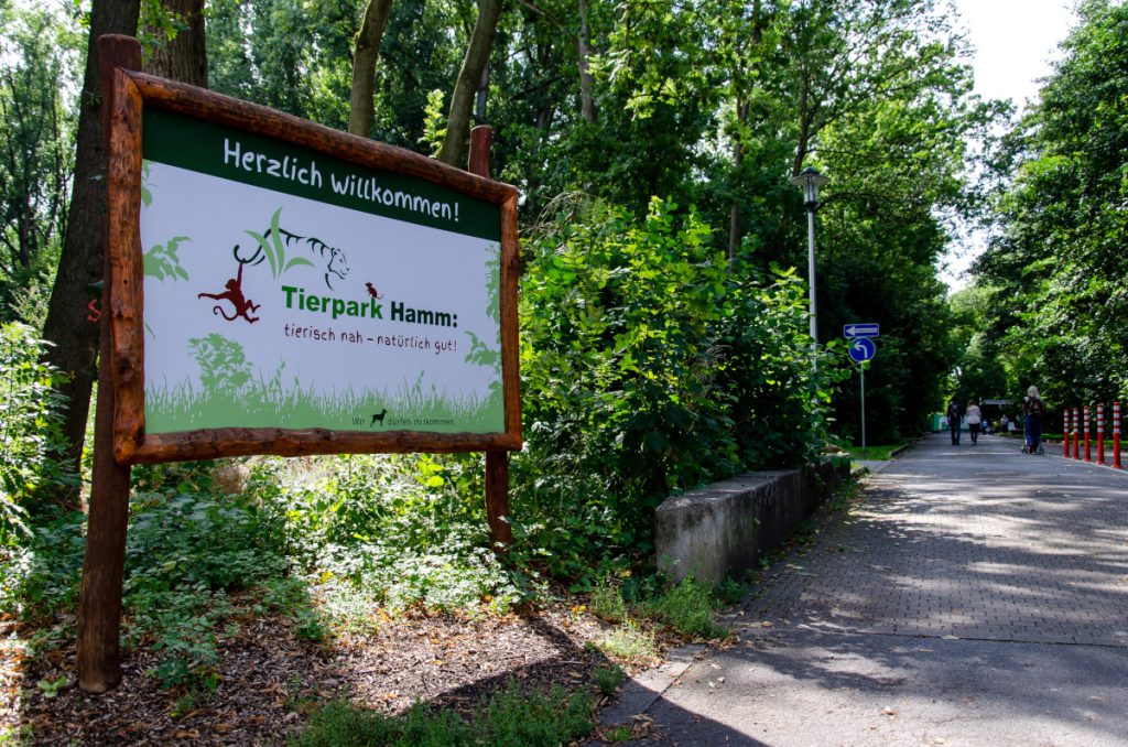 NRW-Zoo erlebt traurige Szenen – für ein Tier brach die Welt zusammen