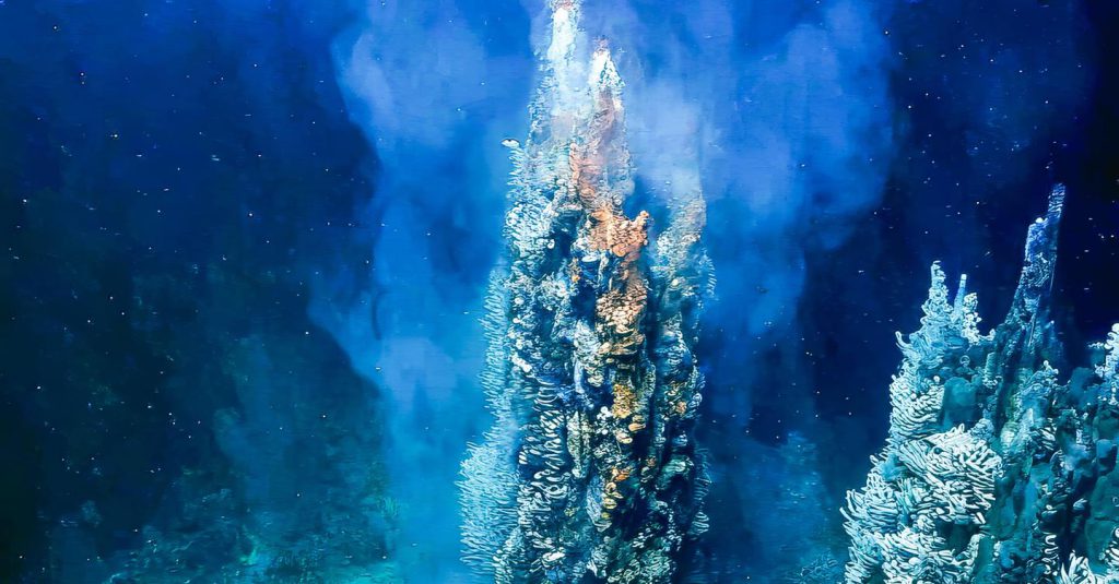 Gli oceani si oscurano: la riduzione dello spazio vitale degli organismi marini e le sue conseguenze sulla biodiversità