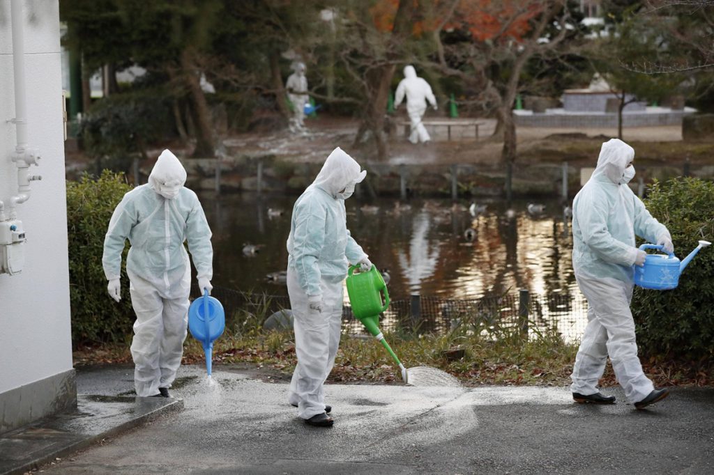 Seuche grassiert im Ruhrgebiet – Tierpark zieht drastische Konsequenzen