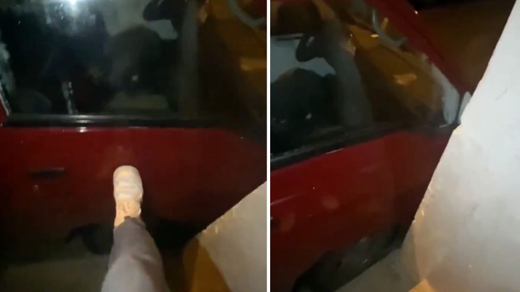 Sabah işe gitmek için evden çıkan vatandaş şoke oldu! Bu kadarına da pes dedirten görüntü