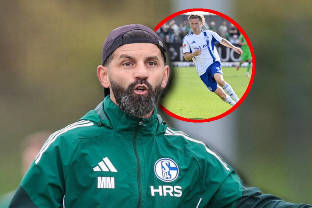 Schalke – Darmstadt: Da staunen auch die Fans! Muslic sorgt für nächste Juwel-Überraschung