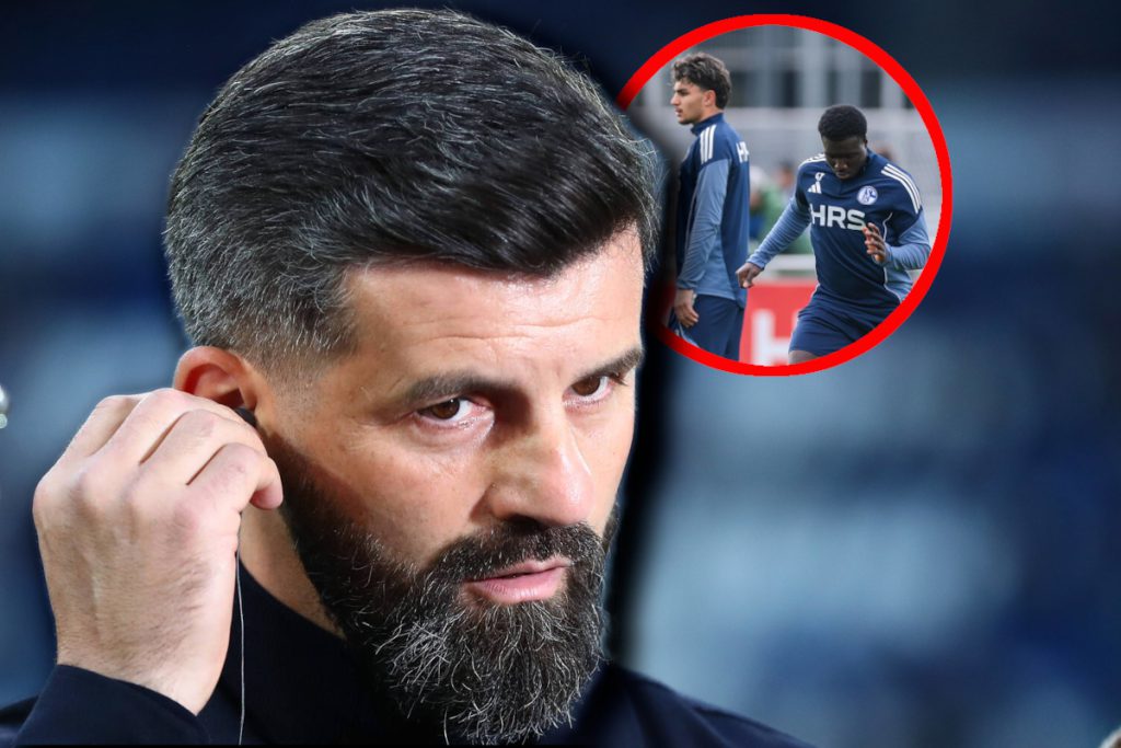 Schalke-Fans warten sehnsüchtig: Jetzt spricht Muslic über ein S04-Juwel