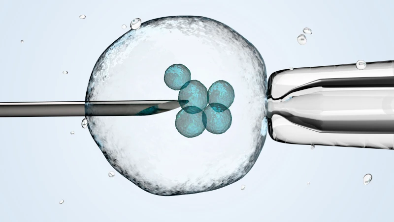 CNA Explains: What is the Catholic Church&#039;s position on IVF?
