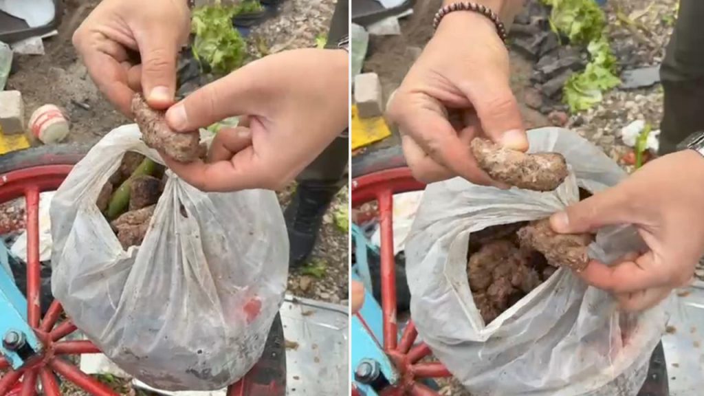 Sequestro di cibo avariato allo stadio: evitato un disastro per i tifosi