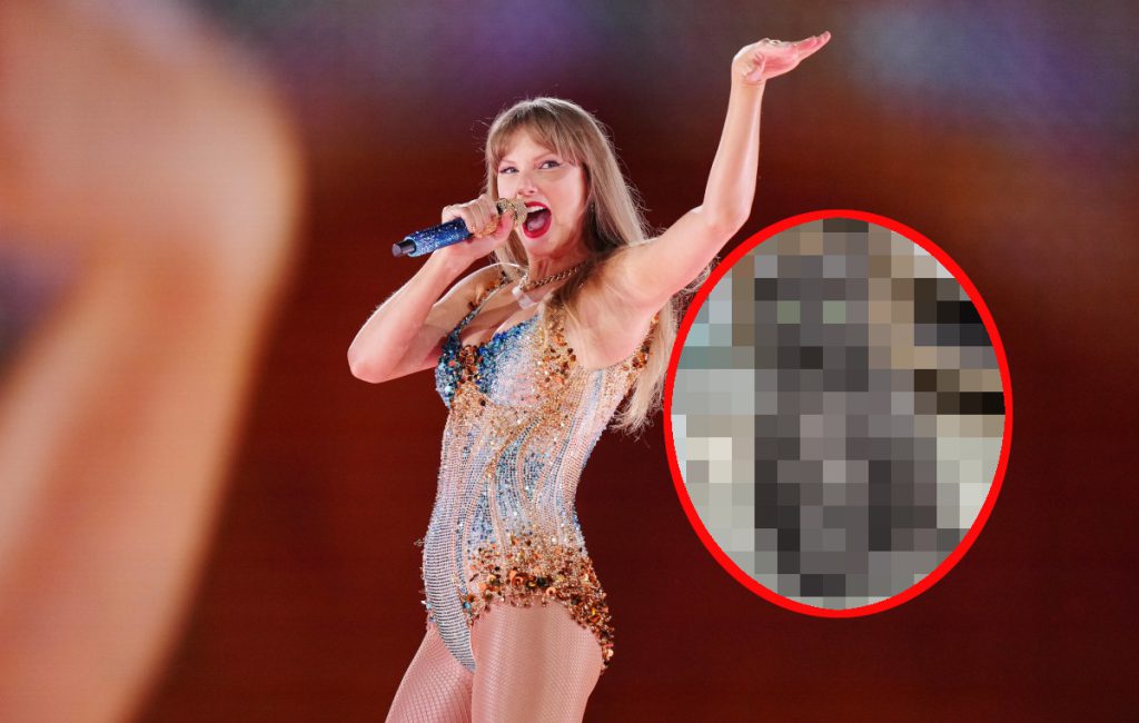 „Swiftie“-Alarm in NRW-Tierheim – Tierpfleger warnen