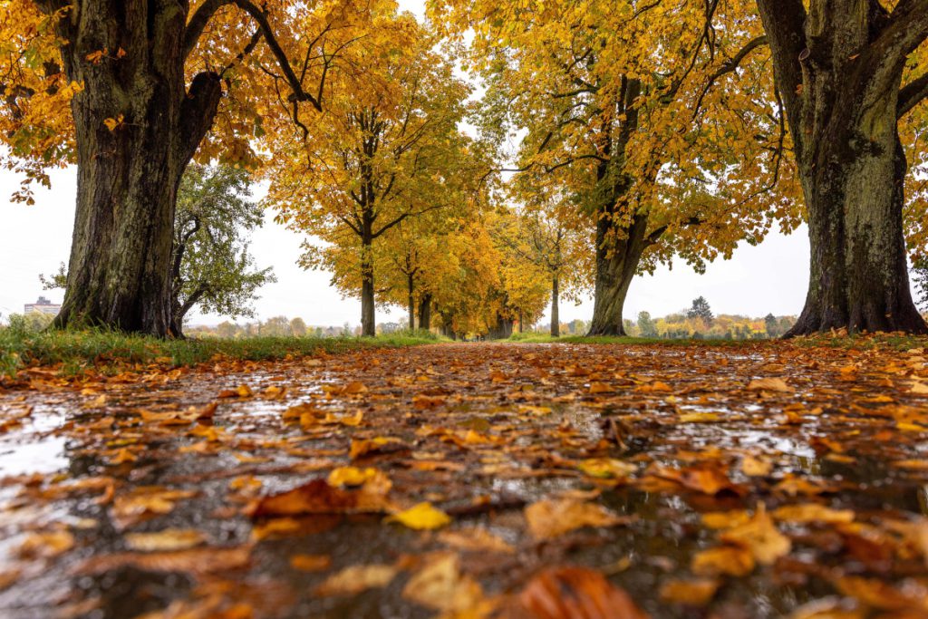 Rambazamba-Wetter in NRW! Experte von den Socken: „Haut richtig durch die Decke“