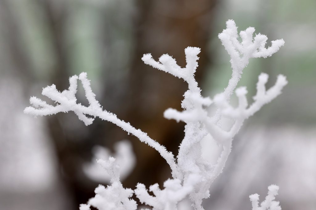 Bittere Winter-Wetter-Prognose für NRW – „Das ist dann schon ’ne Hausnummer!“