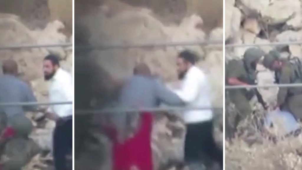 Aggressione a un agricoltore palestinese durante la raccolta delle olive: violenze e abusi nella Cisgiordania