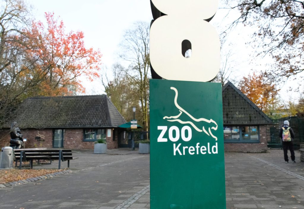 NRW-Zoo lockt Besucher mit kostenlosem Eintritt – nur in den Herbstferien