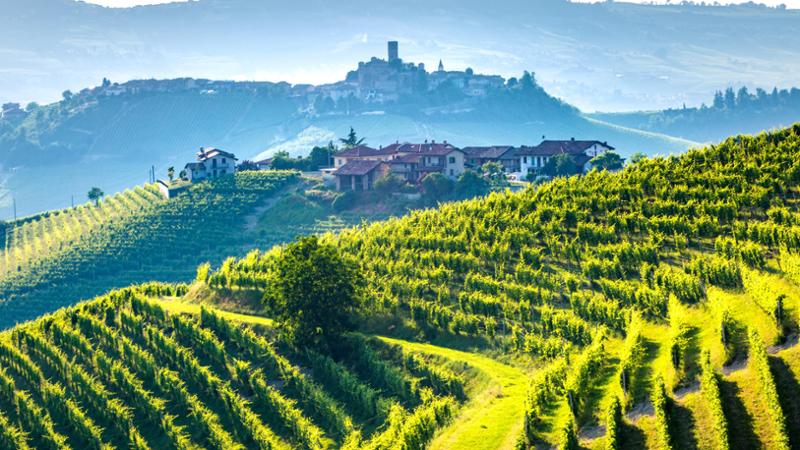 Turismo in Piemonte: crescita in tutte le province nei primi nove mesi grazie all'ATP Finals