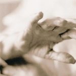 Caso di maltrattamento in ospedale: un paziente di 101 anni legato al letto, 24 lavoratori sospesi