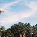 Cambiamento del percorso della parata del Penn Center Heritage Day: una minaccia alla cultura Gullah Geechee?