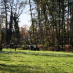 Un uomo di 55 anni muore a Castellamonte per un albero caduto mentre taglia l'erba