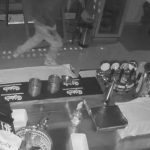 Aumento della criminalità a Vanchiglia: furti e spaccate nei bar, la comunità locale allarme