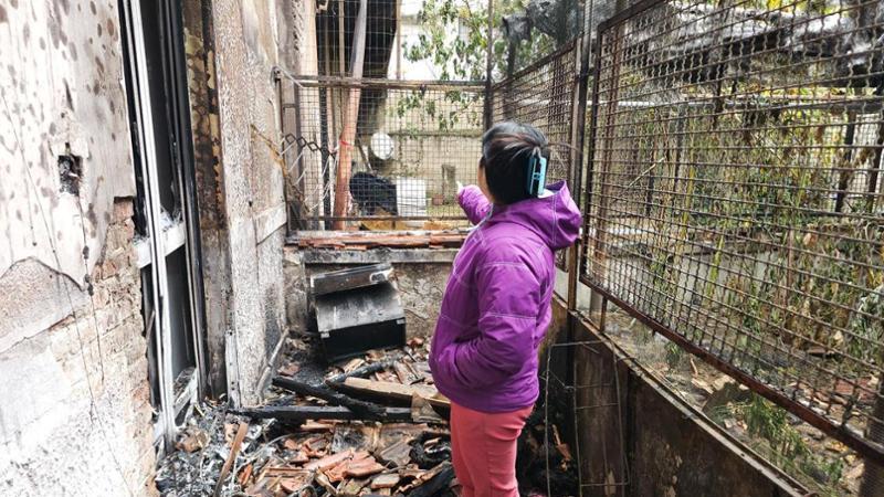 Incendio devastante in appartamento a Torino: due cani morti e danni agli appartamenti adiacenti