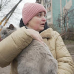 Gatto salvato tra i detriti di un edificio distrutto a Ternopil