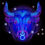 Toro 2026: prospettive di crescita finanziaria e incontri decisivi, con l'importanza della routine personale