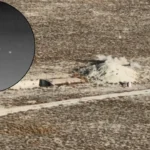 Sistema TOLGA: 100 % di successo nei test contro i droni