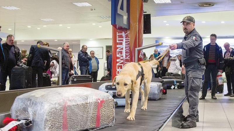 Sequestro di cocaina all&#039;aeroporto di Torino: nove chili di droga nascosti con ingegno nei bagagli di un corriere